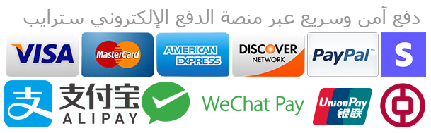 الدفع الإلكتروني لدى منصة إبتعاث الصين